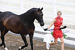 OLY-2020-DRESSAGE-JOG-7-24-21-0859-119-CHARLOTTE-HEERING-BUFRANCO-DEN-DDEROSAPHOTO