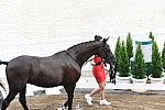 OLY-2020-DRESSAGE-JOG-7-24-21-0869-120-CC KRUTH-HELINE'S DANCERA-DEN-DDEROSAPHOTO