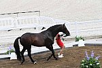 OLY-2020-DRESSAGE-JOG-7-24-21-0876-121-NS MERRALD-ZACK-DEN-DDEROSAPHOTO