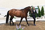 OLY-2020-DRESSAGE-JOG-7-24-21-0886-122-LOSIS DE MUNIZ Y-AQUAMARIJN-DOM-DDEROSAPHOTO