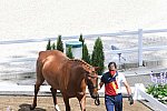 OLY-2020-DRESSAGE-JOG-7-24-21-0897-124-JA GARCIA MENA-DIVINA ROYAL-ESP-DDEROSAPHOTO