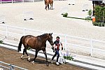 OLY-2020-DRESSAGE-JOG-7-24-21-0905-123-B FERRER-SALAT-ELEGANCE-ESP-DDEROSAPHOTO