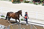 OLY-2020-DRESSAGE-JOG-7-24-21-0906-123-B FERRER-SALAT-ELEGANCE-ESP-DDEROSAPHOTO