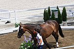 OLY-2020-DRESSAGE-JOG-7-24-21-0910-123-B FERRER-SALAT-ELEGANCE-ESP-DDEROSAPHOTO