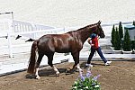 OLY-2020-DRESSAGE-JOG-7-24-21-0917-126-S-JURADO LOPEZ-FENDI T-ESP-DDEROSAPHOTO