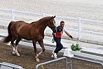 OLY-2020-DRESSAGE-JOG-7-24-21-0925-125-JA GARCIA MENA-SORENTO 15-ESP-DDEROSAPHOTO