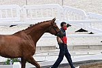 OLY-2020-DRESSAGE-JOG-7-24-21-0926-125-JA GARCIA MENA-SORENTO 15-ESP-DDEROSAPHOTO