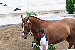 OLY-2020-DRESSAGE-JOG-7-24-21-0928-125-JA GARCIA MENA-SORENTO 15-ESP-DDEROSAPHOTO