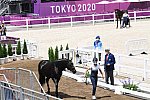 OLY-2020-DRESSAGE-JOG-7-24-21-0962-131-MAXINE COLLARD-CUPIDO PB-FRA-DDEROSAPHOTO