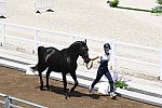OLY-2020-DRESSAGE-JOG-7-24-21-0964-131-MAXINE COLLARD-CUPIDO PB-FRA-DDEROSAPHOTO