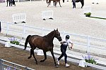 OLY-2020-DRESSAGE-JOG-7-24-21-0973-132-ISABELLA PINTO-HOT CHOCOLAT VD-KWAPLAS-FRA-DDEROSAPHOTO