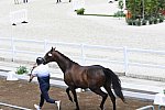 OLY-2020-DRESSAGE-JOG-7-24-21-0978-132-ISABELLA PINTO-HOT CHOCOLAT VD-KWAPLAS-FRA-DDEROSAPHOTO