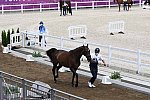 OLY-2020-DRESSAGE-JOG-7-24-21-0979-132-ISABELLA PINTO-HOT CHOCOLAT VD-KWAPLAS-FRA-DDEROSAPHOTO