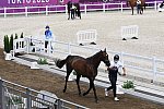 OLY-2020-DRESSAGE-JOG-7-24-21-0980-132-ISABELLA PINTO-HOT CHOCOLAT VD-KWAPLAS-FRA-DDEROSAPHOTO