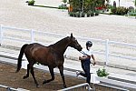 OLY-2020-DRESSAGE-JOG-7-24-21-0981-132-ISABELLA PINTO-HOT CHOCOLAT VD-KWAPLAS-FRA-DDEROSAPHOTO
