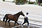 OLY-2020-DRESSAGE-JOG-7-24-21-0982-132-ISABELLA PINTO-HOT CHOCOLAT VD-KWAPLAS-FRA-DDEROSAPHOTO