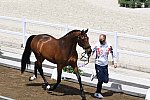 OLY-2020-DRESSAGE-JOG-7-24-21-1007-136-GARETH HUGHES-SINTANO VAN HOF OLYMPIA-GBR-DDEROSAPHOTO