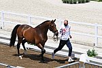 OLY-2020-DRESSAGE-JOG-7-24-21-1008-136-GARETH HUGHES-SINTANO VAN HOF OLYMPIA-GBR-DDEROSAPHOTO