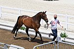 OLY-2020-DRESSAGE-JOG-7-24-21-1009-136-GARETH HUGHES-SINTANO VAN HOF OLYMPIA-GBR-DDEROSAPHOTO