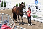 OLY-2020-DRESSAGE-JOG-7-24-21-1017-137-H LANGEHANENBERG-ANNABELLE 110-GER-DDEROSAPHOTO