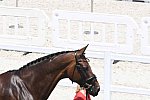 OLY-2020-DRESSAGE-JOG-7-24-21-1020-137-H LANGEHANENBERG-ANNABELLE 110-GER-DDEROSAPHOTO
