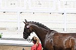 OLY-2020-DRESSAGE-JOG-7-24-21-1032-138-D SCHNEIDER-SHOWTIME FRH-GER-DDEROSAPHOTO