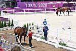 OLY-2020-DRESSAGE-JOG-7-24-21-1033-139-WERNDL-VON BREDOW-TSF DALERA-GER-DDEROSAPHOTO