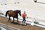 OLY-2020-DRESSAGE-JOG-7-24-21-1034-139-WERNDL-VON BREDOW-TSF DALERA-GER-DDEROSAPHOTO