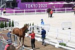 OLY-2020-DRESSAGE-JOG-7-24-21-1043-140-ISABELL WERTH-BELLAROSE 2-GER-DDEROSAPHOTO