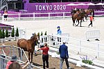 OLY-2020-DRESSAGE-JOG-7-24-21-1045-140-ISABELL WERTH-BELLAROSE 2-GER-DDEROSAPHOTO