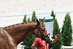 OLY-2020-DRESSAGE-JOG-7-24-21-1056-140-ISABELL WERTH-BELLAROSE 2-GER-DDEROSAPHOTO