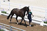 OLY-2020-DRESSAGE-JOG-7-24-21-1062-141-HEIKE HOLSTEIN-SAMBUCA-IRL-DDEROSAPHOTO