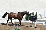 OLY-2020-DRESSAGE-JOG-7-24-21-1084-143-SHINGO HAYASHI-SCOLARI 4-JPN-DDEROSAPHOTO