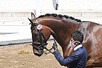 OLY-2020-DRESSAGE-JOG-7-24-21-1096-DDEROSAPHOTO