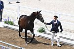 OLY-2020-DRESSAGE-JOG-7-24-21-1100-144-HIROYUKI KITAHARA-HURACAN 10-JPN-DDEROSAPHOTO