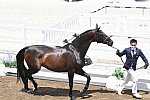 OLY-2020-DRESSAGE-JOG-7-24-21-1104-144-HIROYUKI KITAHARA-HURACAN 10-JPN-DDEROSAPHOTO