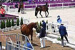 OLY-2020-DRESSAGE-JOG-7-24-21-1108-145-HKAZUKI SADO-LUDWIG DER SONNENKOENIG 2-JPN-DDEROSAPHOTO