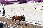 OLY-2020-DRESSAGE-JOG-7-24-21-1110-145-HKAZUKI SADO-LUDWIG DER SONNENKOENIG 2-JPN-DDEROSAPHOTO