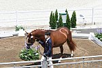 OLY-2020-DRESSAGE-JOG-7-24-21-1115-145-HKAZUKI SADO-LUDWIG DER SONNENKOENIG 2-JPN-DDEROSAPHOTO