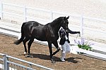 OLY-2020-DRESSAGE-JOG-7-24-21-1119-145-MASANAO TAKAHASHI-RUBICON-JPN-DDEROSAPHOTO