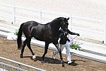 OLY-2020-DRESSAGE-JOG-7-24-21-1120-145-MASANAO TAKAHASHI-RUBICON-JPN-DDEROSAPHOTO
