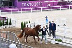 OLY-2020-DRESSAGE-JOG-7-24-21-1140-148 N WAGNER EHLINGER-QUATER BACK JUNIOR FRN-LUX-DDEROSAPHOTO