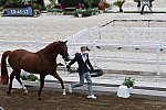 OLY-2020-DRESSAGE-JOG-7-24-21-1146-148 N WAGNER EHLINGER-QUATER BACK JUNIOR FRN-LUX-DDEROSAPHOTO
