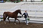 OLY-2020-DRESSAGE-JOG-7-24-21-1148-148 N WAGNER EHLINGER-QUATER BACK JUNIOR FRN-LUX-DDEROSAPHOTO