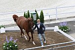 OLY-2020-DRESSAGE-JOG-7-24-21-1149-148 N WAGNER EHLINGER-QUATER BACK JUNIOR FRN-LUX-DDEROSAPHOTO