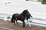 OLY-2020-DRESSAGE-JOG-7-24-21-1155-149-YESSUB RAHMOUNI-ALL AT ONCE-MOR-DDEROSAPHOTO