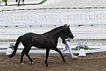OLY-2020-DRESSAGE-JOG-7-24-21-1157-149-YESSUB RAHMOUNI-ALL AT ONCE-MOR-DDEROSAPHOTO