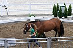 OLY-2020-DRESSAGE-JOG-7-24-21-1165-150-QUIRARTE DE VALLE-BEDUINO LAM-MEX-DDEROSAPHOTO