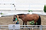 OLY-2020-DRESSAGE-JOG-7-24-21-1166-150-QUIRARTE DE VALLE-BEDUINO LAM-MEX-DDEROSAPHOTO