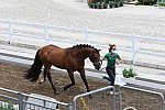 OLY-2020-DRESSAGE-JOG-7-24-21-1169-150-QUIRARTE DE VALLE-BEDUINO LAM-MEX-DDEROSAPHOTO